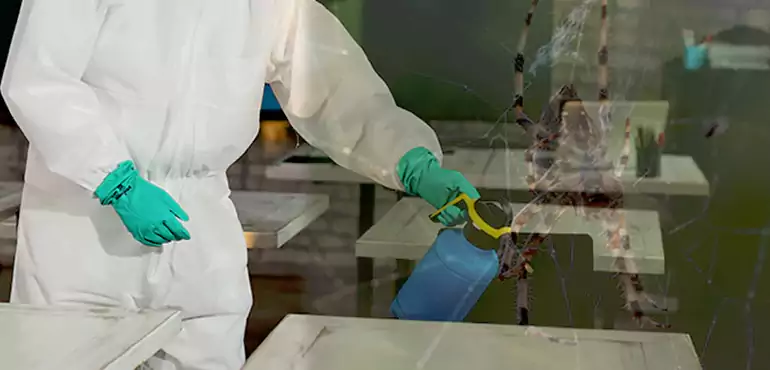 Why Buyers Still Want Homes With Pest Infestations in Mobile, AL?