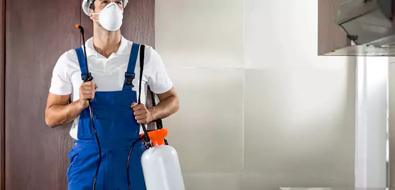 Why Mobile Homeowners Choose Us When Pests Make Selling Difficult